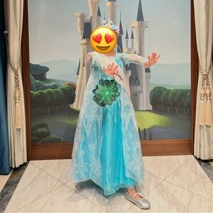 Disney Frozen Elsa Costume - Aqua